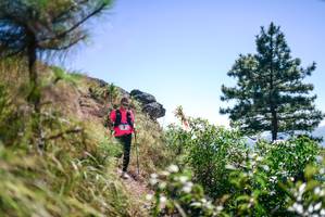 BIB: 
                            <button type="button" onclick="openModal(26608790)" class="btn btn-primary btn-sm float-right btn-popup" data-toggle="modal" data-target=".modal-high-quality">
                        <i class="fas fa-shopping-cart"></i> Add to Cart
                    </button>
                                            <button type="button" onclick="isThisMe(26608790, true)" class="btn btn-success btn-sm float-right btn-popup btn-isme hidden" data-toggle="tooltip" data-placement="bottom" title="นี่คือรูปของคุณใช่ไหม คลิกที่นี่เพื่อเอาเข้าอัลบั้ม">
                        <i class="fas fa-plus"></i> Add to album
                    </button>
                    <button type="button" onclick="isThisMe(26608790, false)" class="btn btn-warning btn-sm float-right btn-popup btn-isnotme hidden">
                        <i class="fas fa-ban"></i> Remove from album
                    </button>